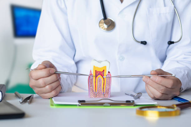Best Emergency Wisdom Tooth Extraction in Frederic, WI